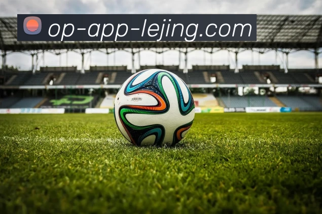 App Interface Preview